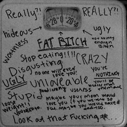 wp-1463955859708 image